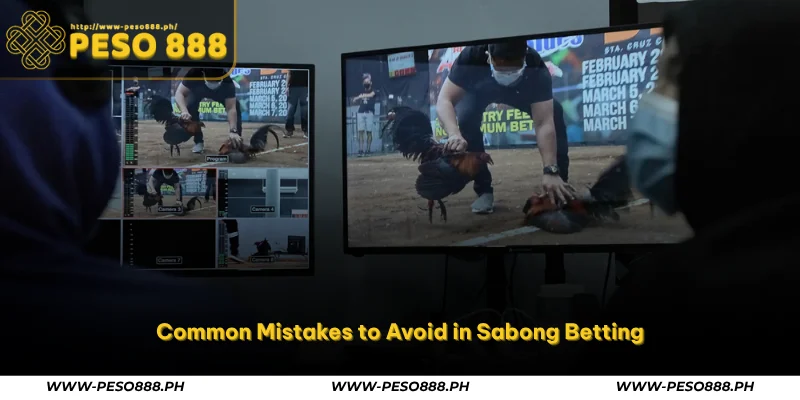Sabong Betting Tips – Smart Online Cockfight Guide at Peso888 3 common mistakes to avoid in sabong betting