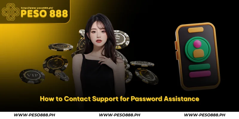 Peso888 Forgot Password – Secure Account Recovery Guide 4 how to contact support for password assistance