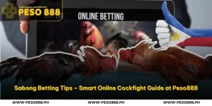 Sabong Betting Tips – Smart Online Cockfight Guide at Peso888 4 sabong betting tips