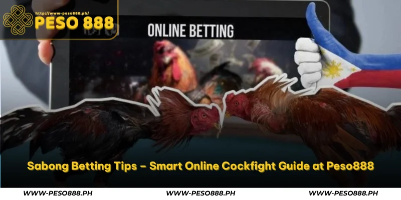 sabong betting tips