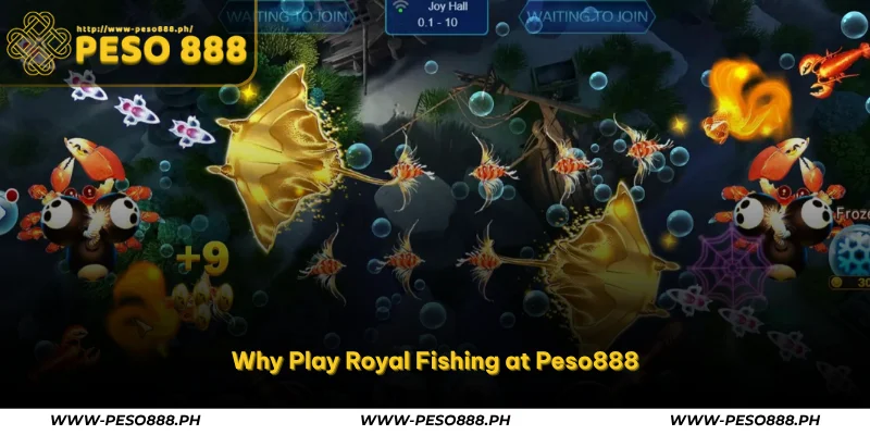 Royal Fishing – Play Jili’s Advanced Shooting Game at Peso888 4 why play royal fishing at peso888