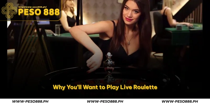 Peso888 Roulette – Experience Live Wheel Action in Philippines 3 why you’ll want to play live roulette